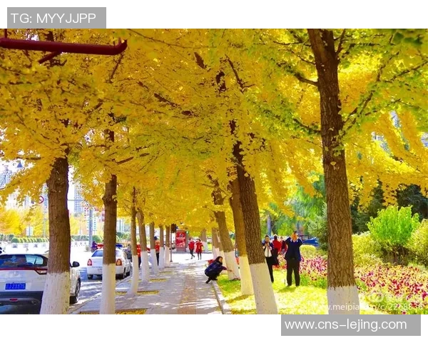 八一足球的辉煌历程与未来展望：传承精神与推动发展的双重使命